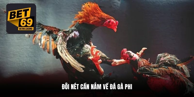 Đôi nét cần nắm về đá gà Phi